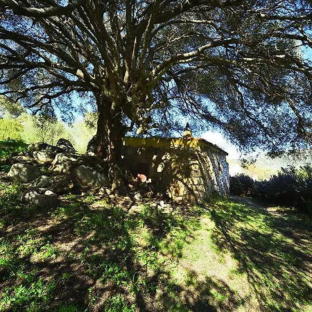 Lu Rotu Çiftlik konaklama