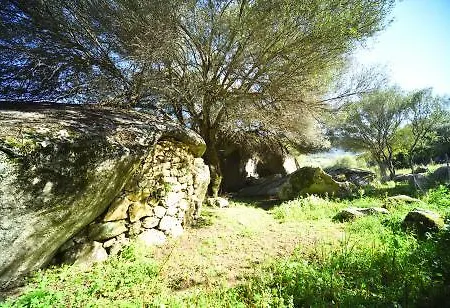 Alloggio per agriturismo Lu Rotu *