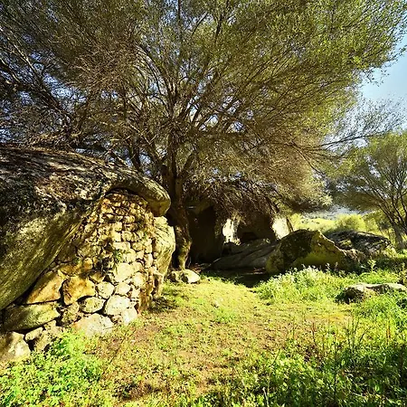 Lu Rotu Farm stay *